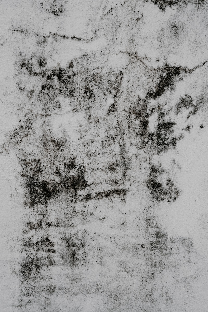 a black and white photo of a wall with mold infestation